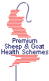 Premium Sheep & Goat Health Schemes